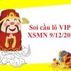 Soi cầu lô VIP KQXSMN 9/12/2021