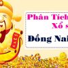 Phân tích kqxs Đồng Nai 5/1/2022