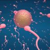 Nuốt tinh trùng có bầu không, có hại cho sức khỏe không?