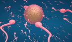 Nuốt tinh trùng có bầu không, có hại cho sức khỏe không?